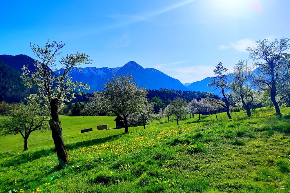 MaMi's Ferienwohnung Grundlsee