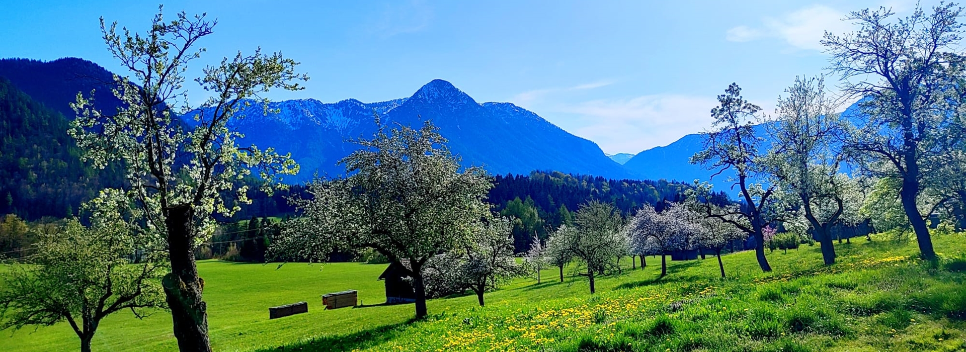 MaMi's Ferienwohnung Grundlsee