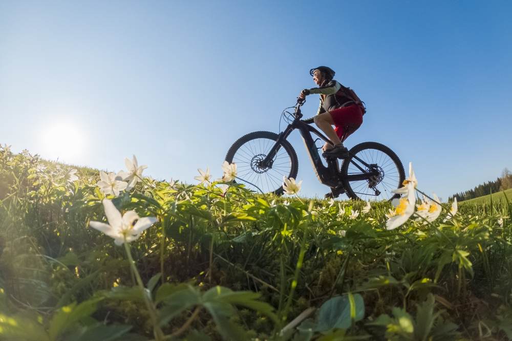 MaMi's Ferienwohnung Grundlsee
