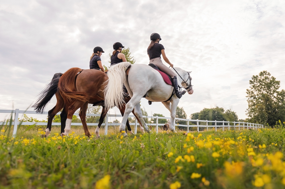 MaMi's Ferienwohnung Grundlsee